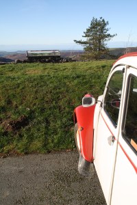 It's good to be back