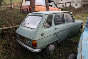 A surprising lack of rot