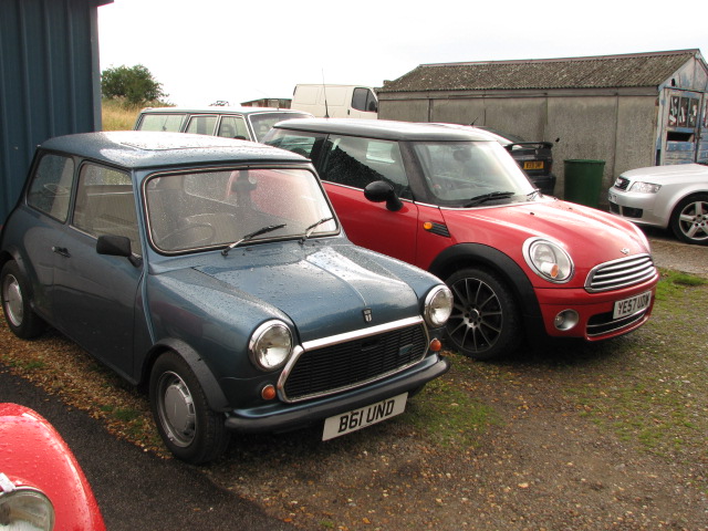 Are these both Minis? My wife says not.