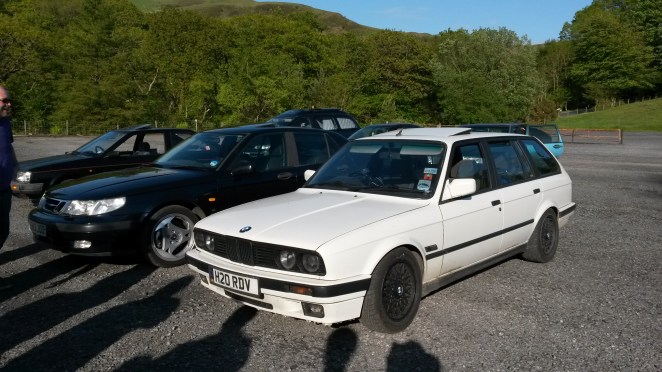 Meaty Beemer fends off hovering males