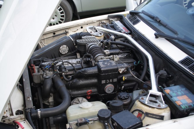 Not much space in here. Meaty.