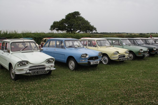 Blue Ami 8 between two sixes.