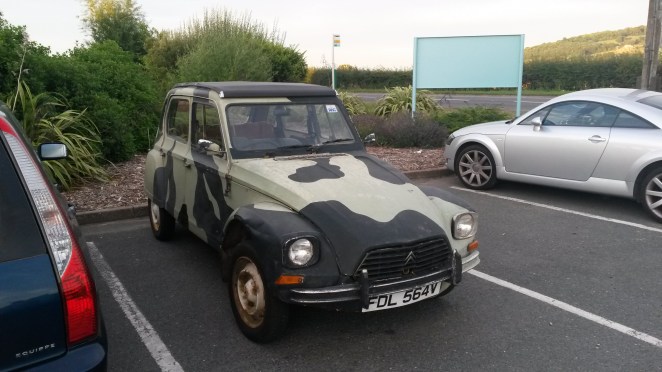 This camouflage is not much use in a car park.