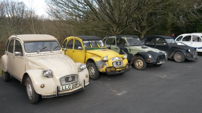 My Dyane fits in nicely here. Scruffy doesn't mean unloved!