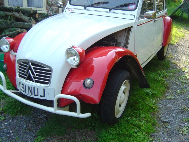 Ouch! Elly gets walloped