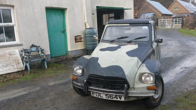 Look who's up and running again!