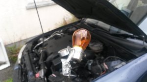 Rover 600 indicator bulb