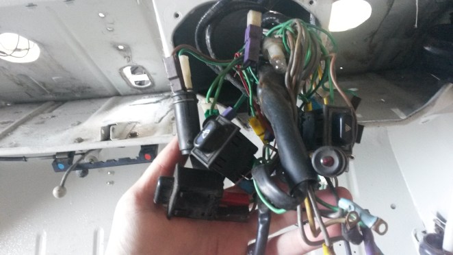 Spaghetti, this morning.