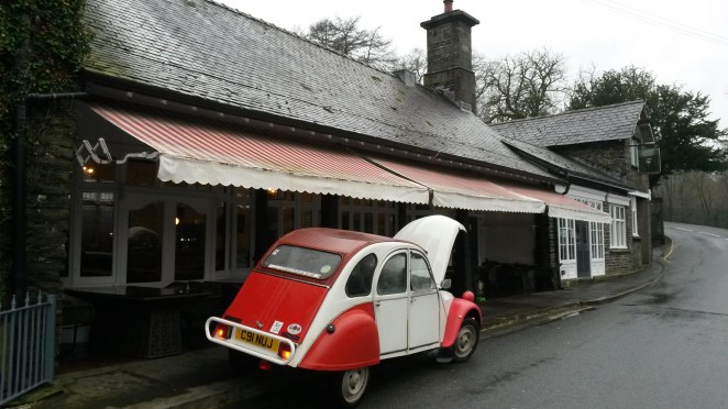 Elly chooses a pleasant place to stop at least.