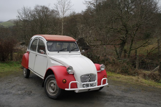 Finally, she is finished and healthy!